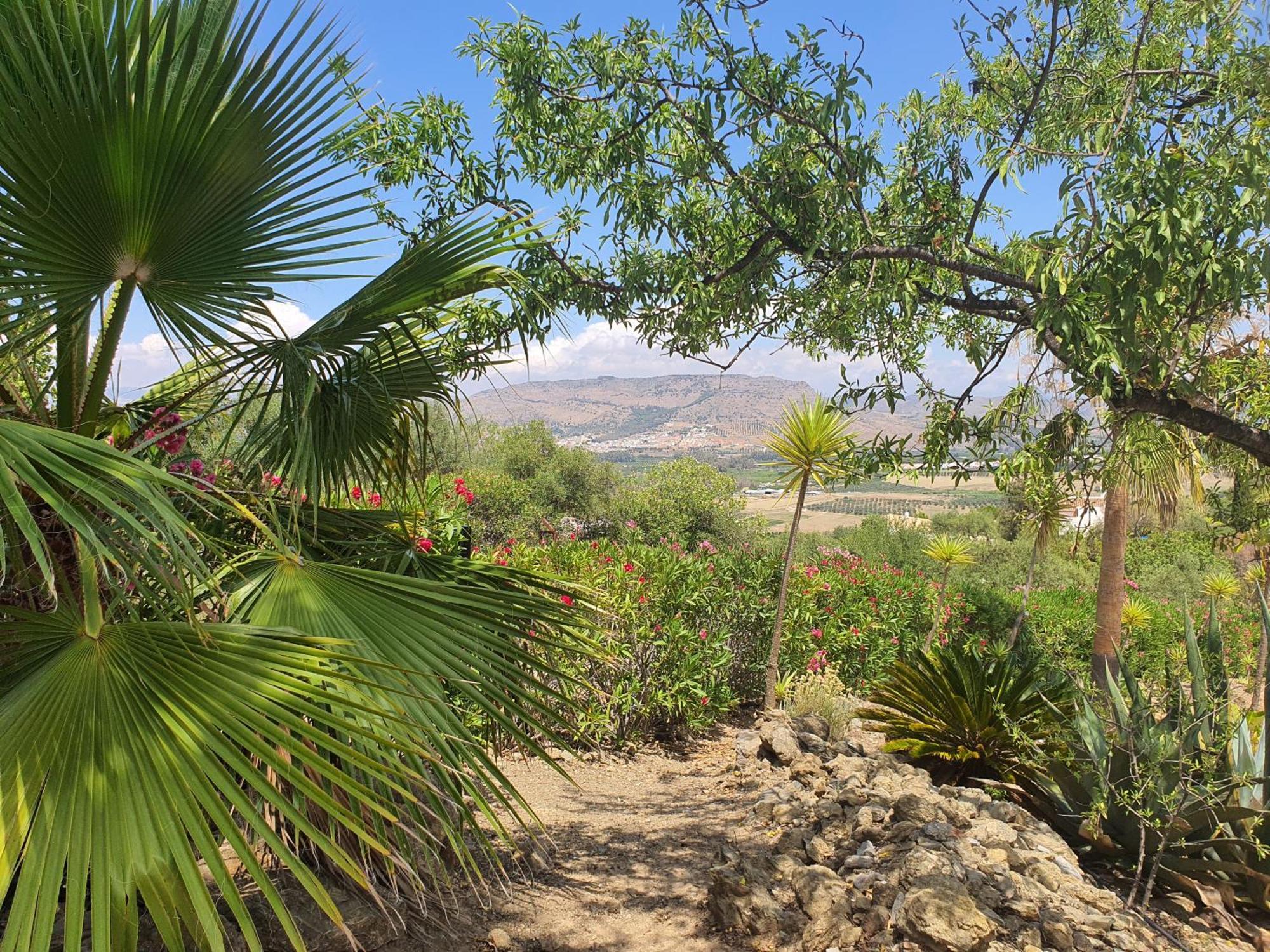 Finca Flamenco Holiday Suites Adults Only ปิซาร์รา ภายนอก รูปภาพ
